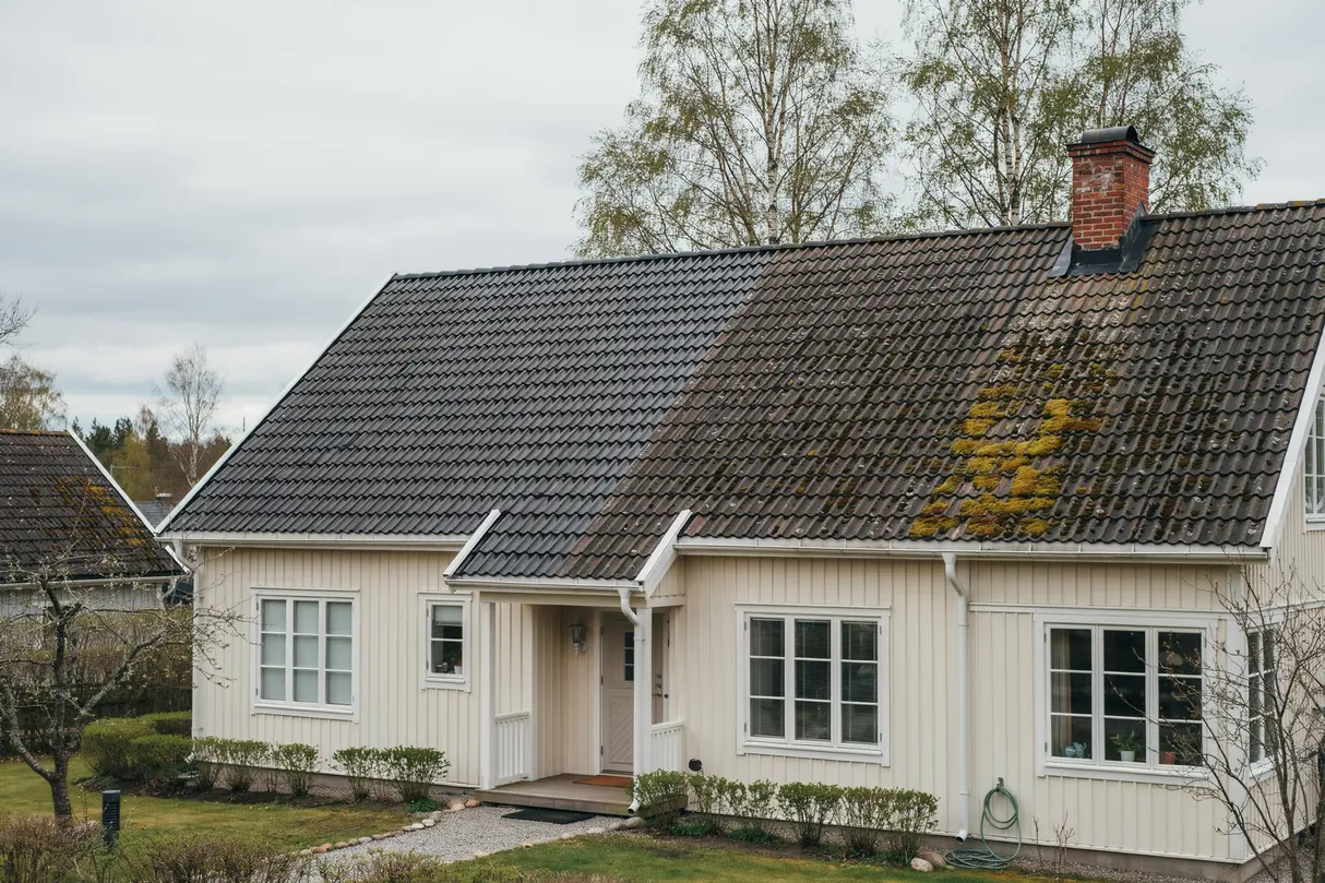 mossa p taket s tar du bort den s kert och f rebygger att den kommer tillbaka